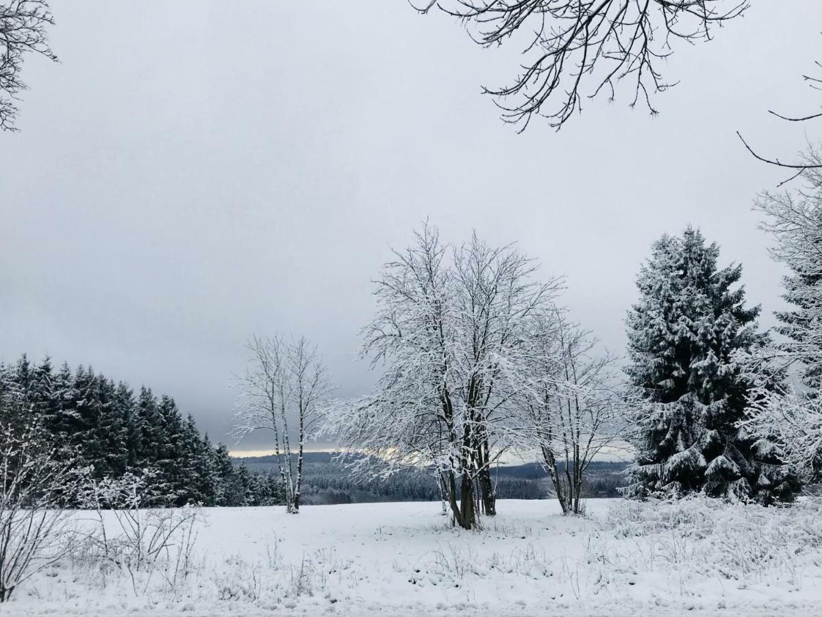 Ferienwohnung Harzblick 2 Braunlage Zewnętrze zdjęcie